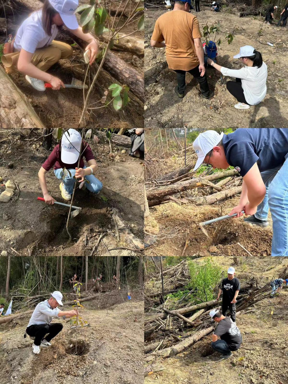 ΢��ͼƬ_20230418162036